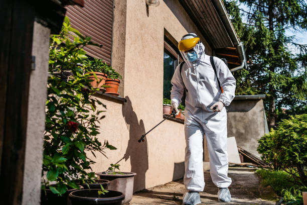 Best Best Pest Control Companies  in Santee, SC