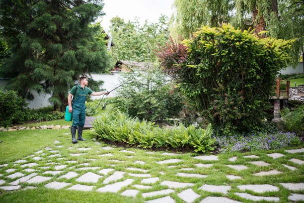 Best Affordable Pest Control Services  in Santee, SC