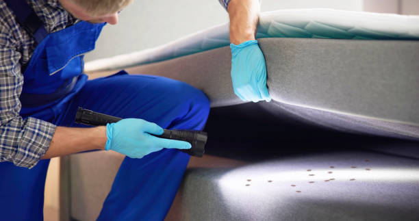 Best Pest Control Treatment  in Santee, SC