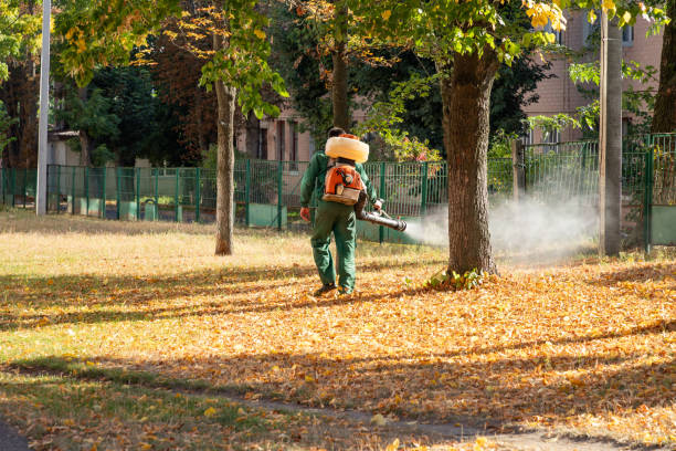 Best Insect Control  in Santee, SC