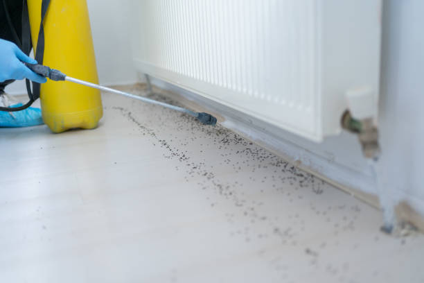 Best Cockroach Control Services  in Santee, SC